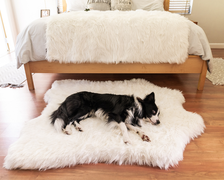 Polar White Faux Fur Dog Bed & Blanket