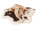 Golden Retriever on Brown Cowhide Bed