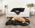 golden retriever on faux fur black bed and french bulldog on couch on faux fur blanket