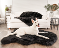 white german shepherd on black faux fur bed with matching midnight black throw in background