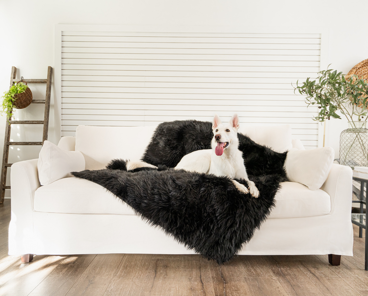 white german shepherd on midnight black throw