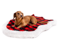 small dachshund dog on winter plaid bed