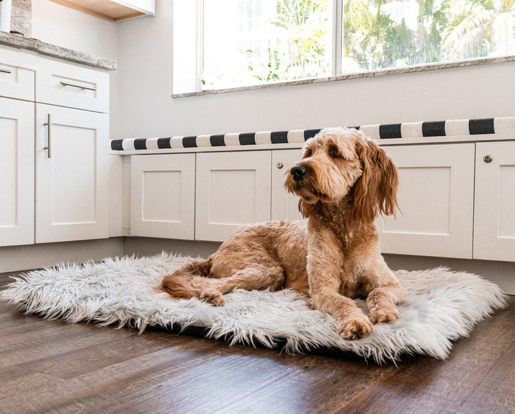 Dog on grey faux fur travel dog bed on wood floor