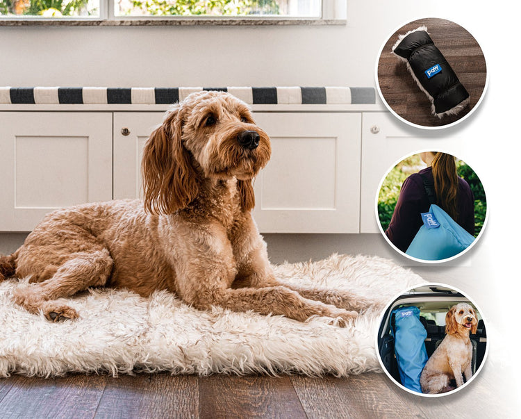 goldendoodle dog resting on faux fur travel dog bed with images of dog bed in other usage situations with a roll-up design, in a carrying bag, and on-the-go