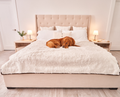 golden retriever dog resting on luxurious polar white faux fur pet blanket on king size bed