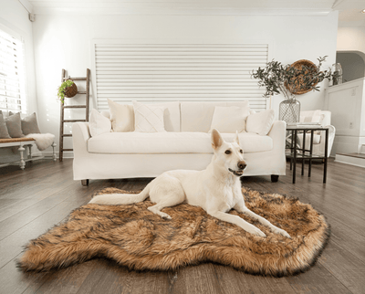 white german shepherd cozy up on tan faux fur pet bed