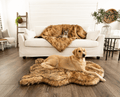 golden retriever and french bulldog on matching sable tan faux fur dog bed and blanket