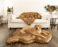 golden retriever and french bulldog on matching sable tan faux fur dog bed and blanket