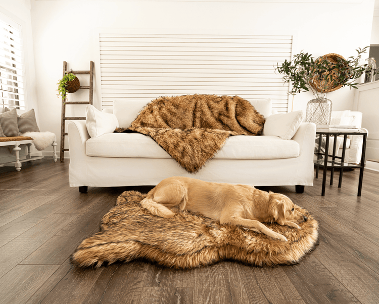 golden retriever and french bulldog on matching sable tan faux fur dog bed and blanket